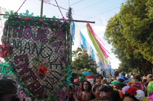Desfile do bloco Hoje a Mangueira Entra no Carnaval 2010. Foto: Marcelo Lyra/Santo Lima/Fundarpe